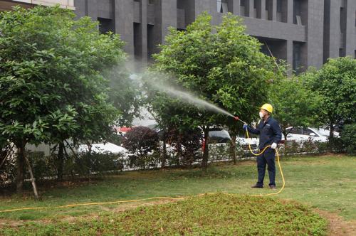 小區綠地噴灑農藥滅蚊