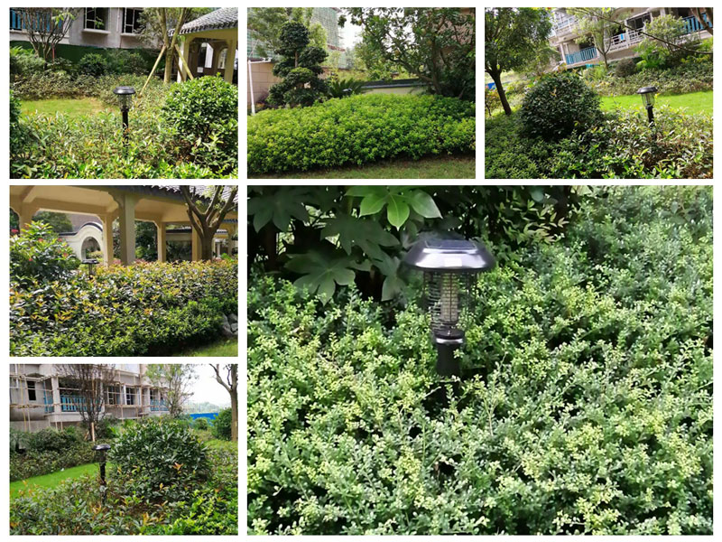 江西贛州物業安裝小區滅蚊燈案例