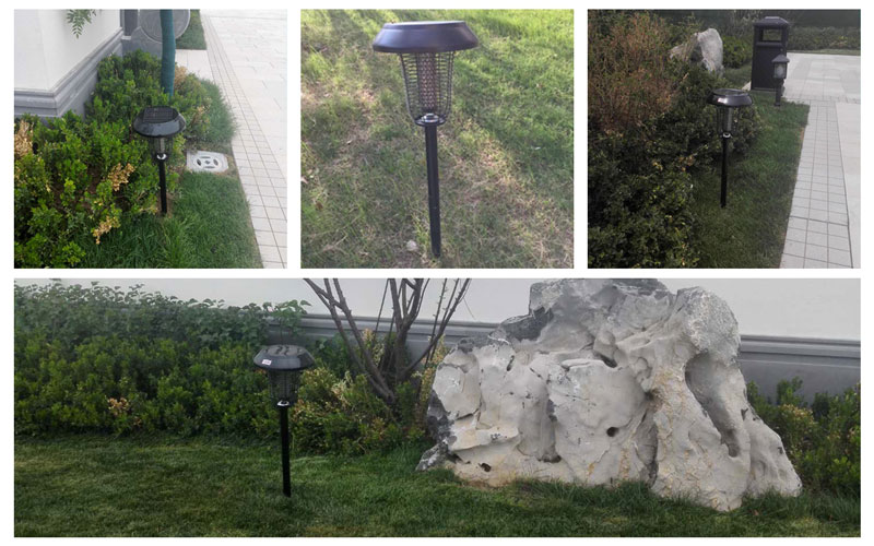 寧夏桃李春風小區滅蚊燈效果案例