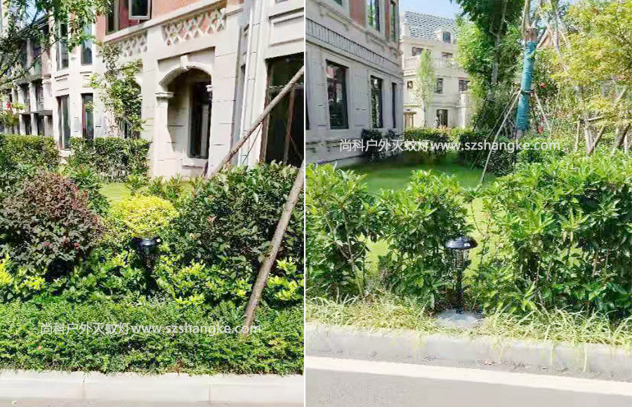 太陽能滅蚊燈用于社區滅蚊防蚊