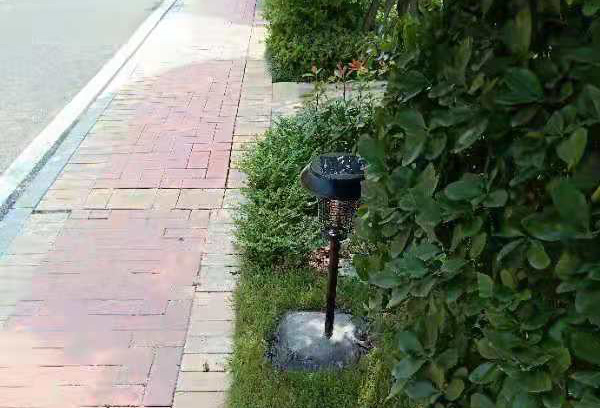 太陽能滅蚊燈用于社區滅蚊防蚊