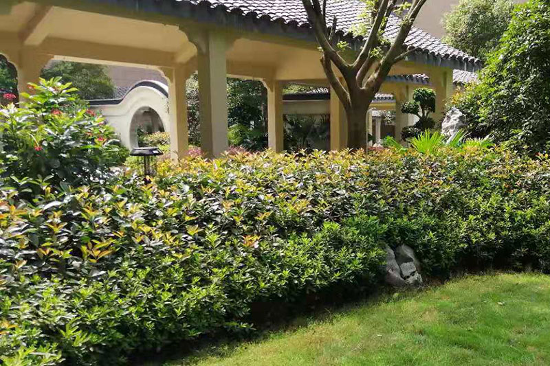 江西大余碧桂園翰盛雅園小區太陽能滅蚊燈案例