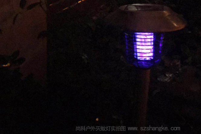 別墅庭院景觀滅蚊燈安裝要讓強光 別墅庭院景觀滅蚊燈安裝要讓強光