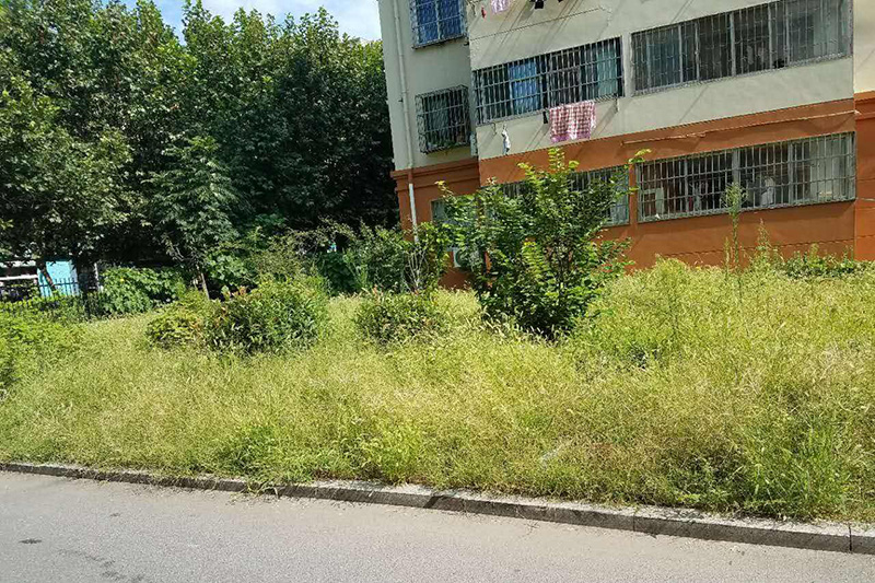 小區蚊子多物業不管