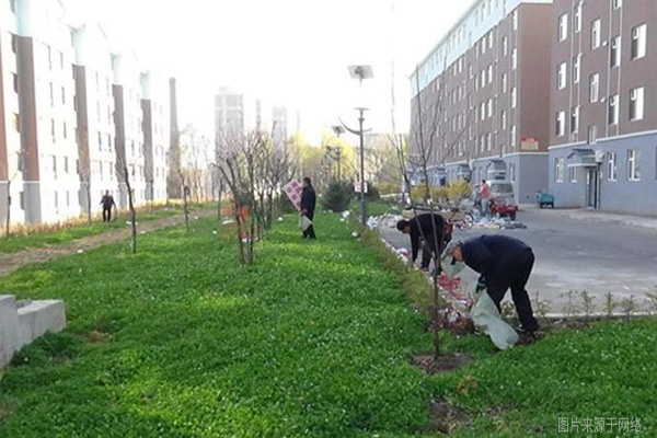 物業組織清理小區綠化帶垃圾