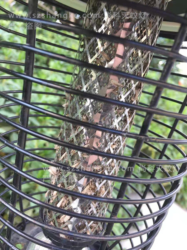 別墅庭院太陽能滅蚊燈效果